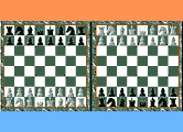 Bughouse Chess