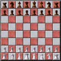 Double Agent Chess