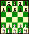 Elena Chess