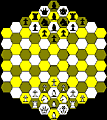 Hexagonal Chess Collection