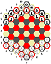 Hexagonal Chess