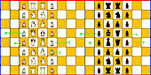 Torus Chess