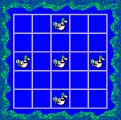 Duck Solo
